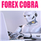 Forex cobra