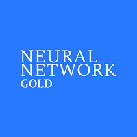 Neural Network Gold