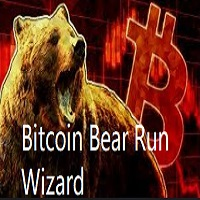Bitcoin Bear Run wizard