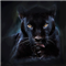 Black Panther MT5