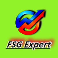 FSG Expert