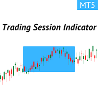 Trading Session time for MT5