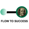 Flow to Success