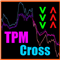 TPM cross indicator