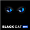 Black Cat MT5