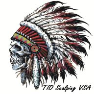 TIO Scalping VSA MT5