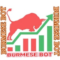 Burmese Bot