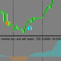Market buy and sell raptor