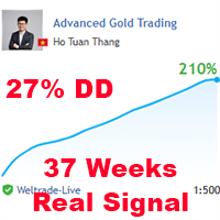 Advanced Gold Trading MT5