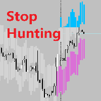 Realtime Stop Hunting