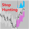 Realtime Stop Hunting