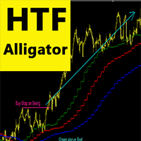 HTF Alligator m