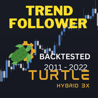 Turtle Hybrid 3X