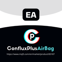 CP Confluxplus AirBag