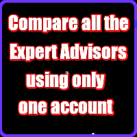 Statistics of all Expert Advisors