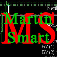 Martin smart
