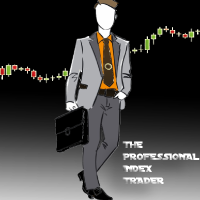The Professional Index Trader
