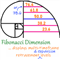 Fibonacci Dimension