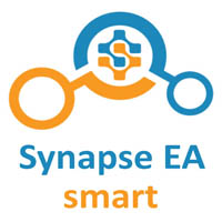 Synapse smart EA MT5