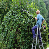 Hedging the Bushes