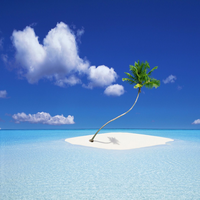 Point In The Sea