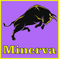 Minerva MT5