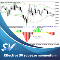 Effective SV squeeze momentum