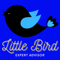 Little Bird