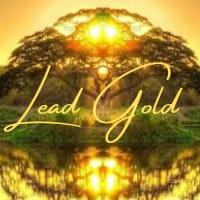 Lead Gold