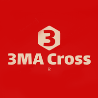 R 3MA Cross