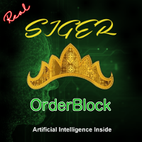 Siger Orderblock