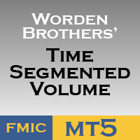 Time Segmented Volume for MT5
