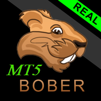 Bober Real MT5