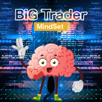 Big Trader Mindset