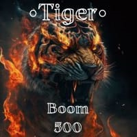 Boom 500 Tiger