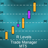 R Levels Trade Manager Mt5