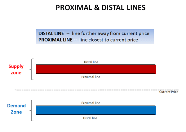 examples of distal and proximal lines