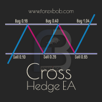 Cross Hedge EA