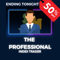 The Professional Index Trader