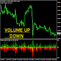 Volume Trend Up Down