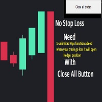 Stop loss Hedge System Close Button