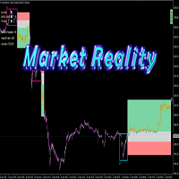 Market Reality