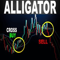 Alligator Custom V1
