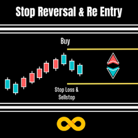 Stop Reversal Re Entry