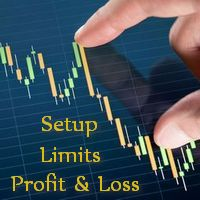 Auto Set Profit and Loss Limits