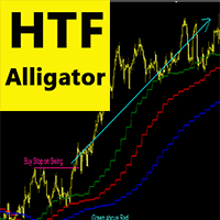 HTF Alligator mr