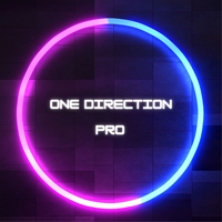 One Direction Pro