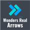 Wonders Real Arrows