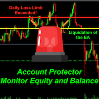 Equity and Balance Account Protector