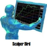 Scalper Bird